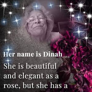 Meet your Posher, Dinah